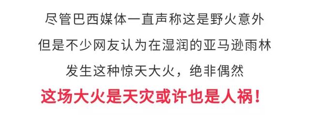 亚马逊大火的真相，和你看到的截然相反