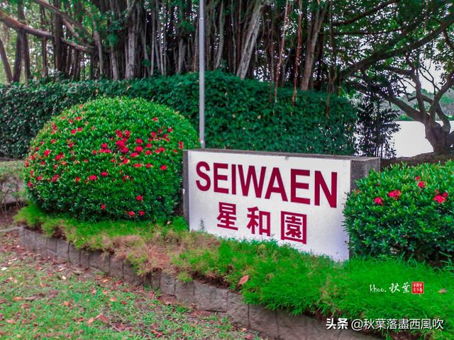 新加坡把中国园林和日本庭院造一起，谁更像传统中国呢？