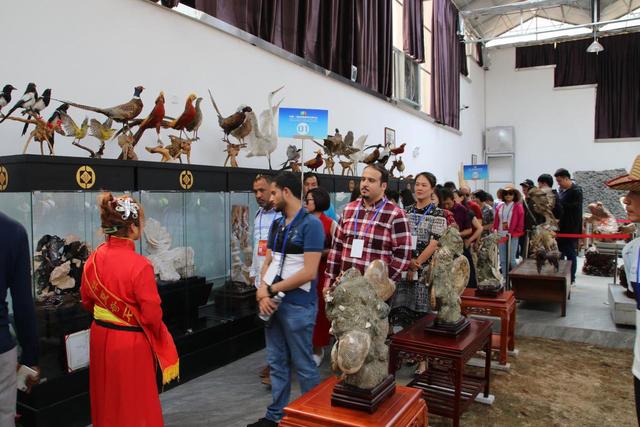 踏歌宁夏，盛邀天下——中阿旅行商畅游塞上江南