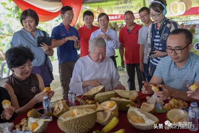 “食神”蔡澜曼谷游记：街头巷尾寻觅泰国美食的乐趣