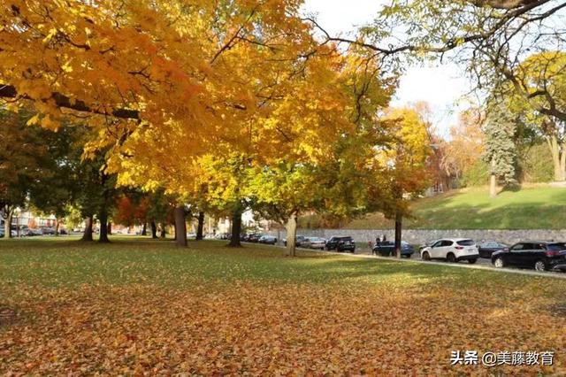 如何申请美国威斯康星康考迪亚大学研究生？