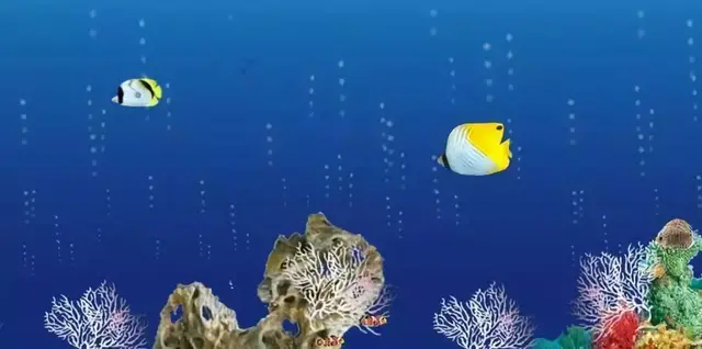 国内这几个水族相关展会，你去过哪几个？
