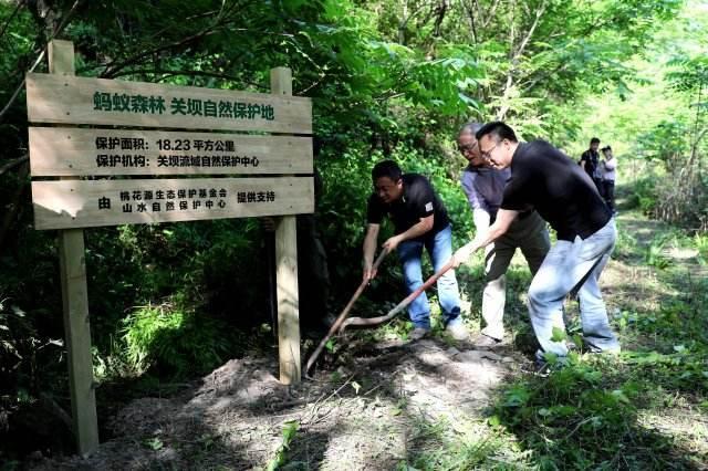 联合国最高环保荣誉！支付宝蚂蚁森林获“地球卫士奖”