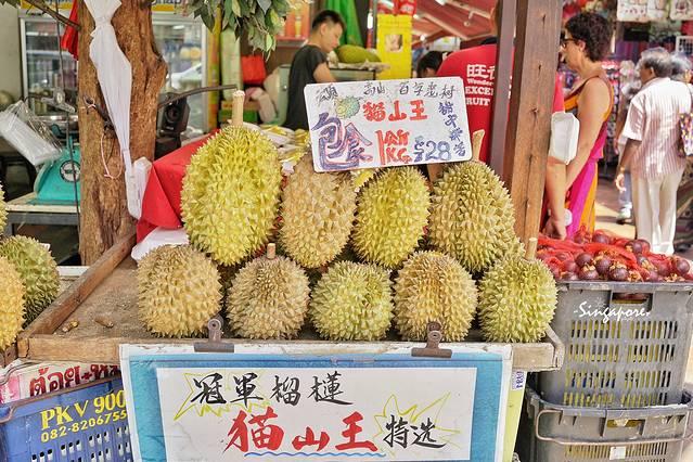 暖夏狮城｜一封寄给自己的旧南洋独白