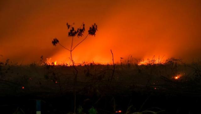印尼严重森林大火持续，大约200人因放火被捕