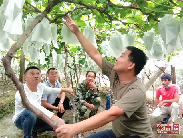 周宁：院地合作让农民赚钱有门路