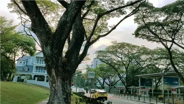 新加坡是世界上最小的国家之一，这里的别墅也小小的。