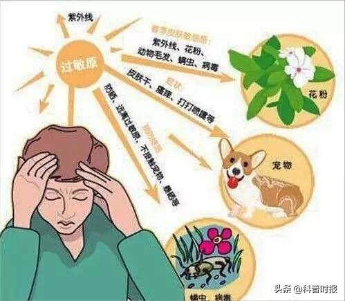 「科普时报」过敏疾病往往具有家族遗传性