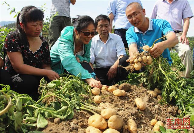 周宁：院地合作让农民赚钱有门路