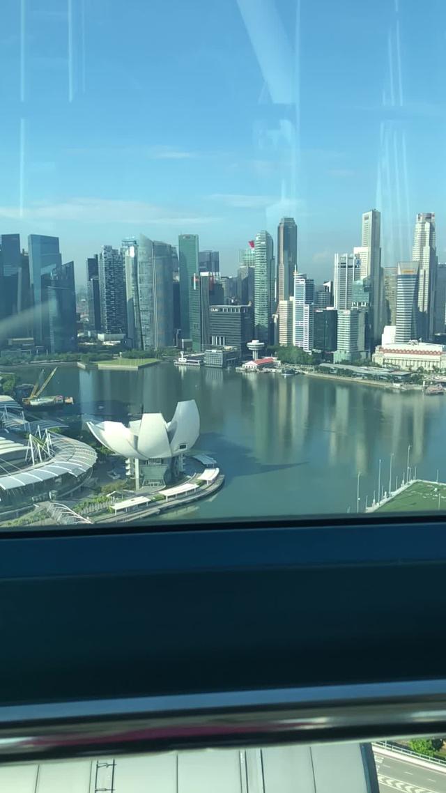 坐摩天轮俯瞰新加坡