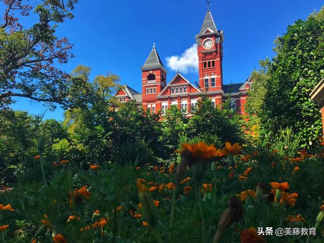 杜克大学是怎样一种存在？