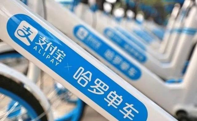 3年哈啰做对了什么：运气、激进、胆识、还是傲慢？