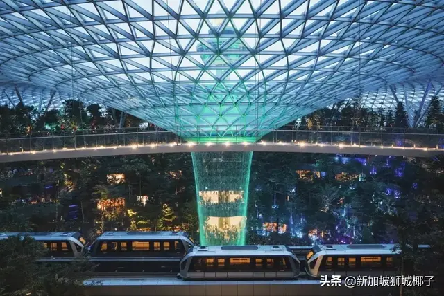 大家注意！一下飞机就被抓，又有人在新加坡机场出事儿了...