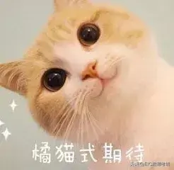 想要去亚洲留学？这些数据你得知道