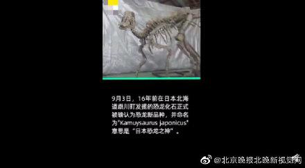 日本确认恐龙新物种，命名为“日本龙神”