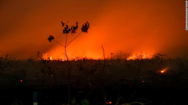 印尼大火肆虐，邻国马来西亚被“呛”得喘不过来气