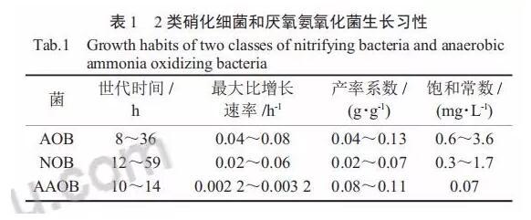 污水处理厌氧氨氧化工艺研究与应用进展