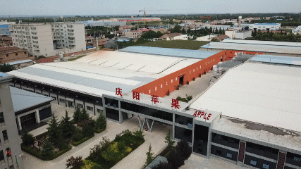 宁县庆新果业有限公司董事长李守业：敢为人先拓新路