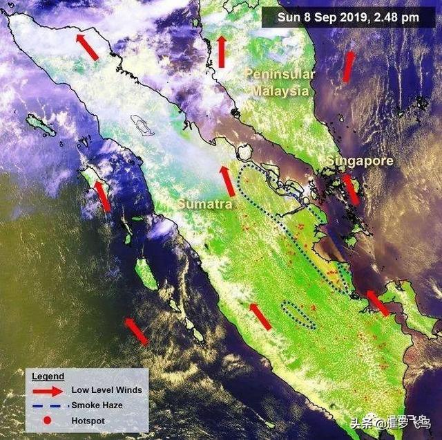 印尼森林大火引发马来外交危机 影响邻国究竟多严重？