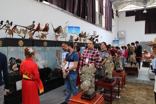 中阿旅行商畅游宁夏 共绘同心协作新画卷