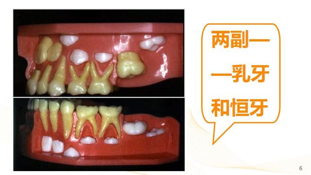 爱牙日│儿童口腔健康，从这些“小事”开始