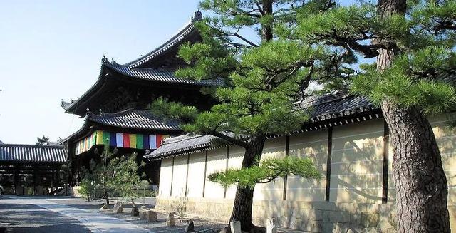 日本寺庙竟然可以办音乐节、开咖啡厅，主持还能开酒吧、办演唱会