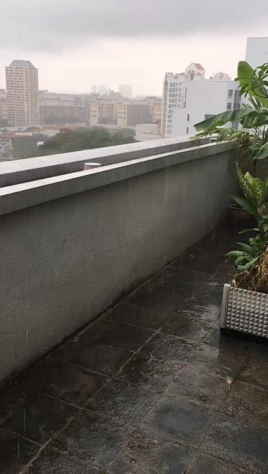新加坡终于降喜雨了