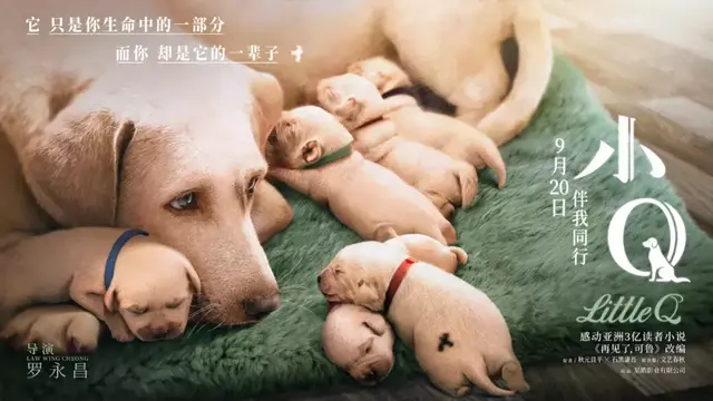 「定档影片票房口碑预测916」腰斩档，会有电影能破亿吗？