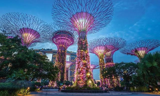 揭秘新加坡“星耀樟宜”背后不为人知的故事
