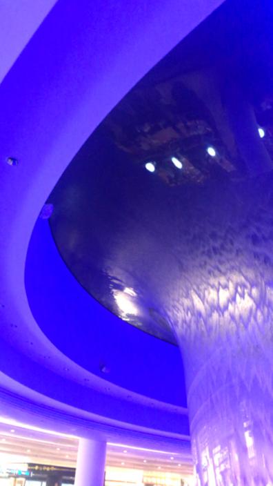 新加坡《星耀樟宜》谁知道这么大家伙是怎么造出来的吗？