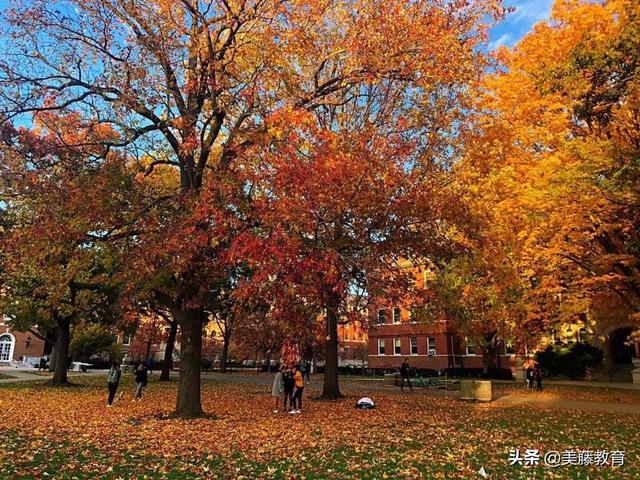 去美国威斯康星康考迪亚大学读书的要求是什么？