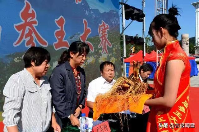 快来看啊！抚松县再现百年“野山参王”