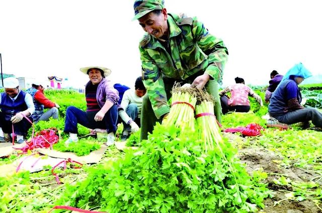 兰州市2019年中国农民丰收节暨第六届农民艺术节23日举行