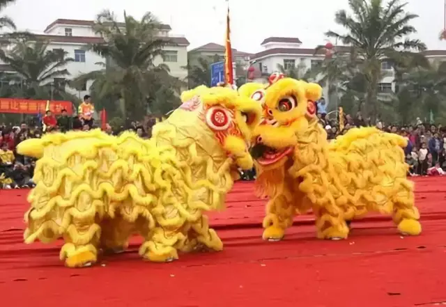 狮子南下：热带雨林的狮影重重