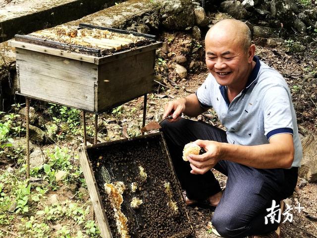 梅州创森“绿富美”之路：森林进城公园下乡、村民护生态换“饭票”