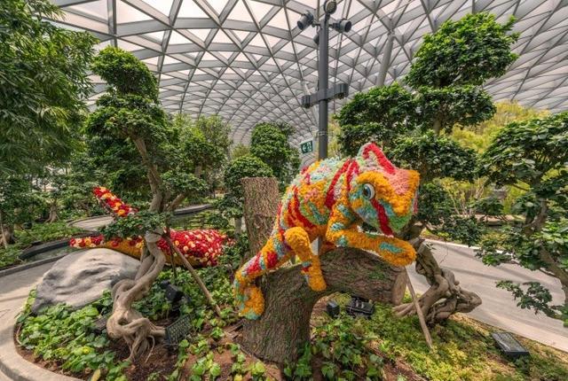 【新加坡】Jewel Changi Airport 玩乐世界最大室內瀑布＆植物园