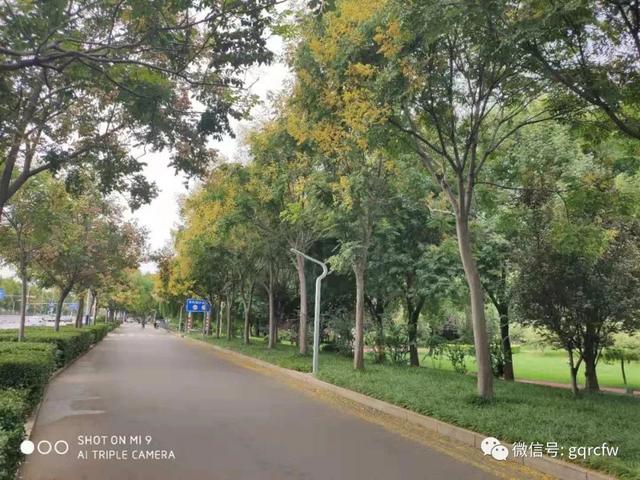 国庆人才需求 2019.09.14