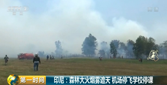 印尼森林大火烟雾遮天！约30万人入院治疗，机场停飞学校停课