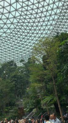 新加坡-美丽的星耀樟宜机场