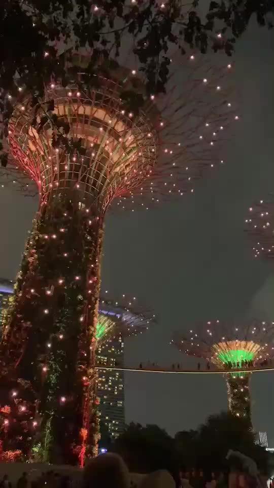 新加坡滨海湾花园的超级树，夜晚超美！
