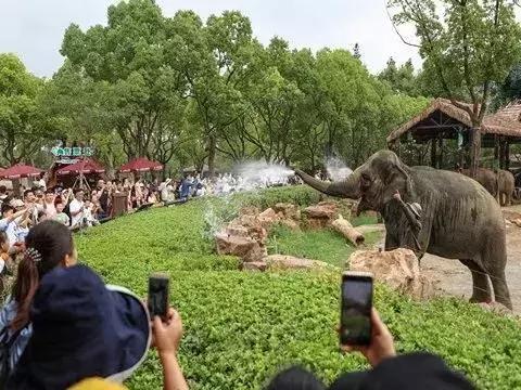 小迪说 | 十一必刷的遛娃旅行打卡攻略，好玩到尖叫