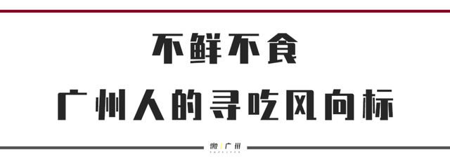 广州最特色最常见最便宜，“潮汕原味汤粉”