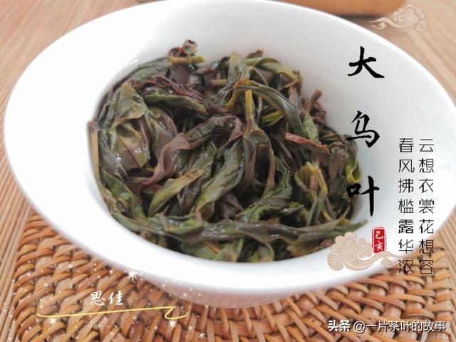 凤凰单枞特点，以及凤凰单枞的功效