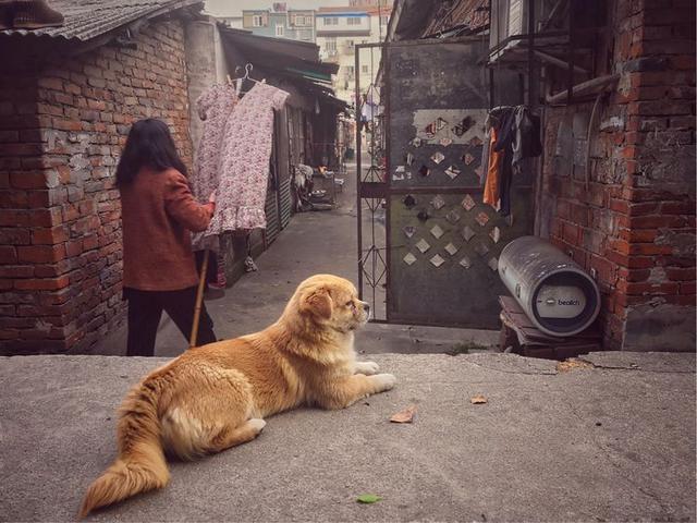 今天，你拍照了吗？