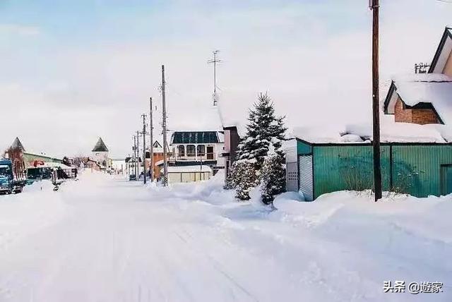 日本的枫叶就要红了，也快下雪了，500元就能去！（内含福利）