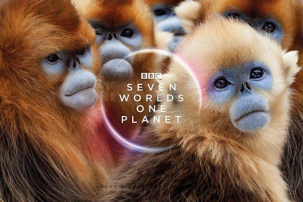 BBC Earth将在新加坡揭幕《七个世界一个星球》| 美通社