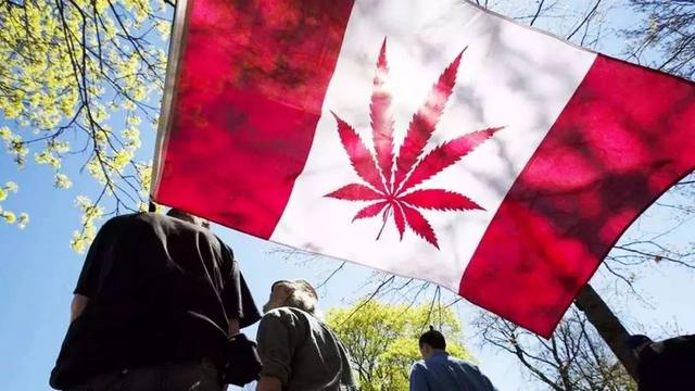 感概，加拿大反对派对华人发的假消息都这么有针对性……