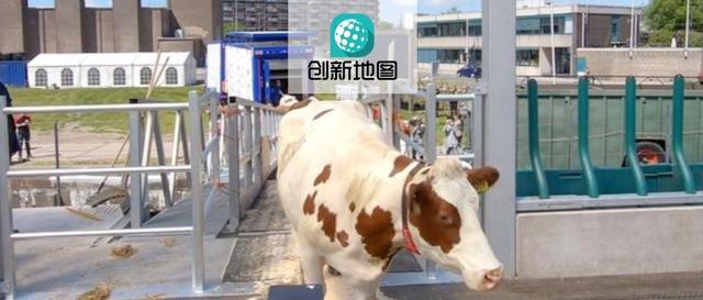 世上首个海上漂浮奶牛场落地，你可以线上订购快递到家