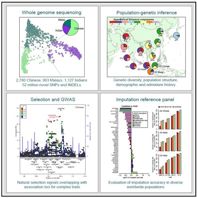 最燃 | 华中科技大学解析亚洲人的基因组，为人类遗传学贡献智慧