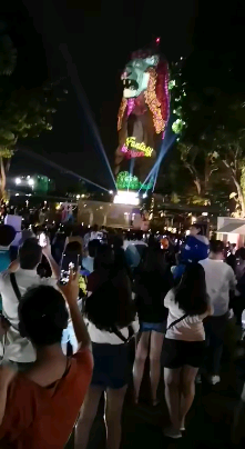 新加坡夜景！